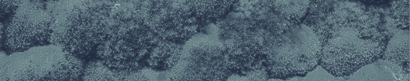 Pillar one, sustainability pillars